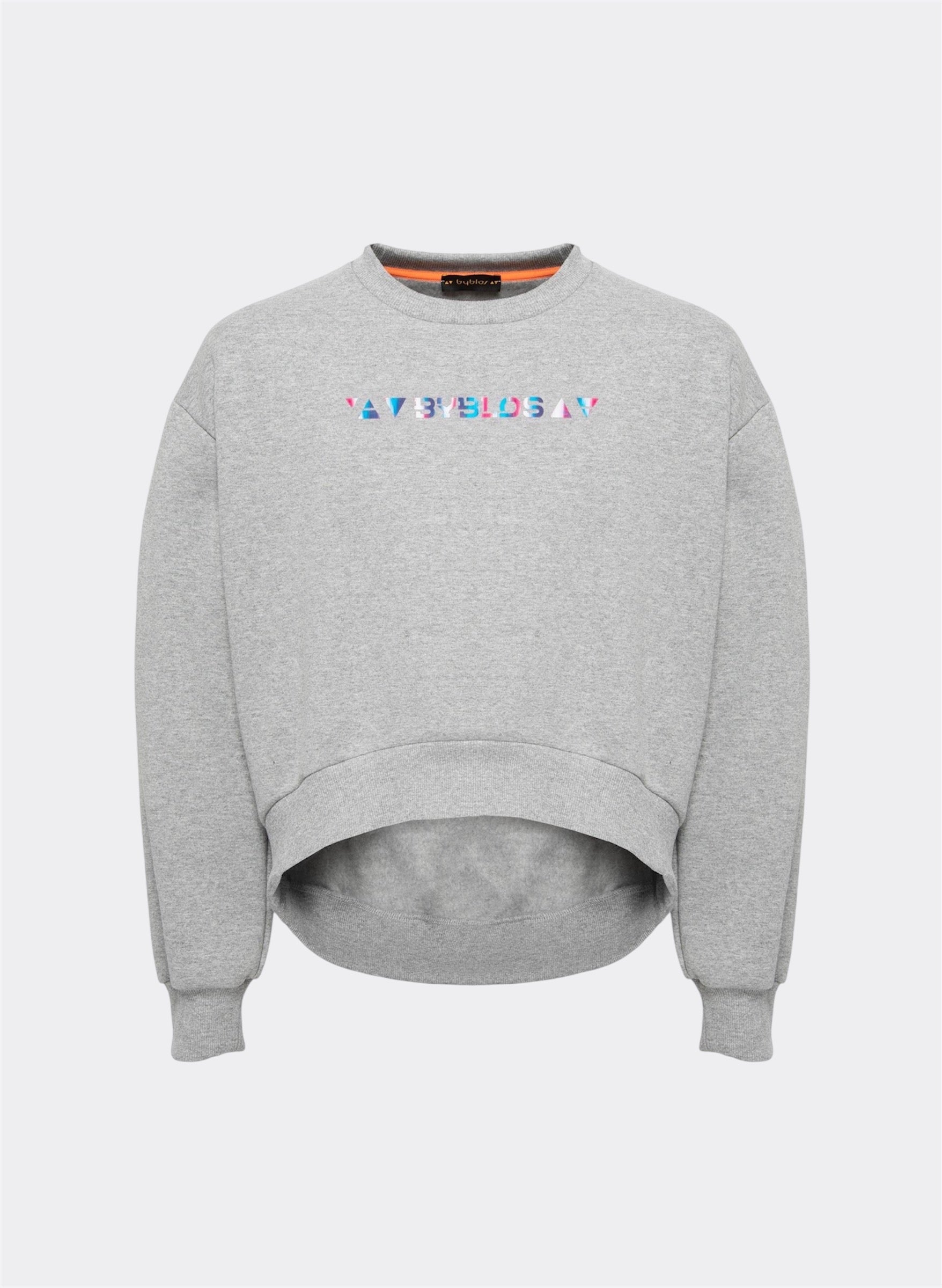 Iridescent Logo Crop Jumper