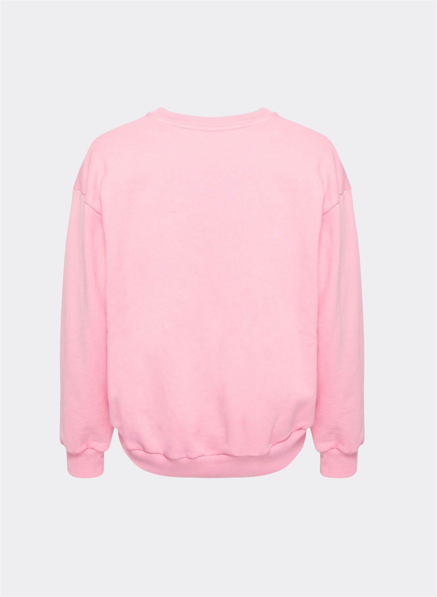 Iridescent Logo Crop Jumper